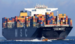 国际海运公司MSC Elsa 3号集装箱落水后续（箱体冲上岸引发环境污染担忧）