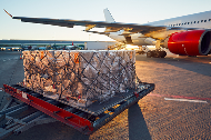 国际空运货物的唛头如何标注?必填信息有哪些?(国际空运干货知识分享)(图2) 国际空运,货物唛头