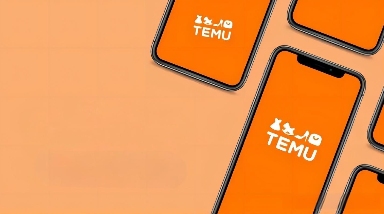 详细介绍一下TEMU运营半托管的退货方式