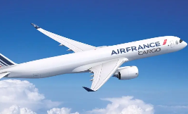 法航荷航国际空运公司第二季度货运业务成绩显著(业务稳步迈向新高度)(图2) 国际空运,法航荷航