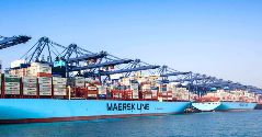 突发！MSC 三船被扣，印度法院要求先赔 80 亿，再谈放行（国际海运新闻资讯）