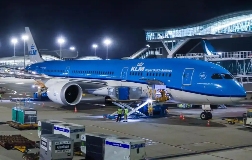 荷航货运业务中断，国际物流链路短期承压（国际空运新闻资讯）
