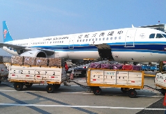 国际空运，原产地证