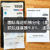 国际海运价格分化（美欧航线暴跌9.8%，波斯湾澳新航线逆势上涨6.9%）（图4）