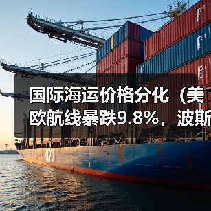 国际海运价格分化（美欧航线暴跌9.8%，波斯湾澳新航线逆势上涨6.9%）（图3）