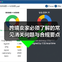 跨境卖家必须了解的常见清关问题与合规要点（跨境物流干货知识分享）