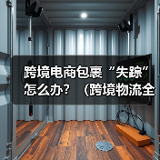 跨境电商包裹“失踪”怎么办?(跨境物流全程追踪技术与丢件索赔攻略)(图2) 跨境电商包裹“失踪”怎么办?(跨境物流全程追踪技术与丢件索赔攻略)(图2)