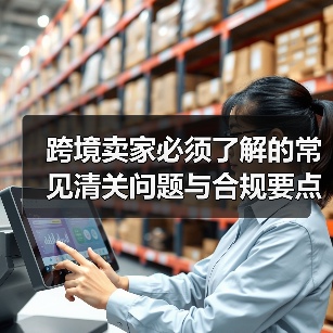 跨境卖家必须了解的常见清关问题与合规要点(跨境物流干货知识分享)(图4) 跨境卖家必须了解的常见清关问题与合规要点(跨境物流干货知识分享)(图4)