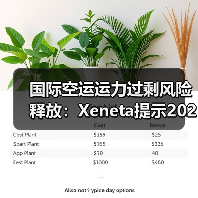 国际空运运力过剩风险释放：Xeneta提示2026航空运费下跌（航企需控供给防亏损）