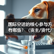 国际空运的核心参与方有哪些？（货主/货代/航司/机场/清关行）（图3）
