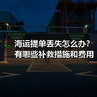 海运提单丢失怎么办？有哪些补救措施和费用（国际海运干货知识分享）（图4）