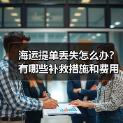 海运提单丢失怎么办？有哪些补救措施和费用（国际海运干货知识分享）（图3）