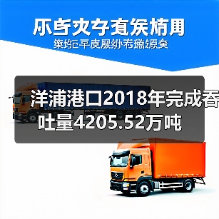 洋浦港口2018年完成吞吐量4205.52万吨