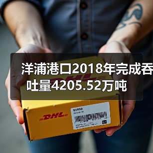 洋浦港口2018年完成吞吐量4205.52万吨（图3）