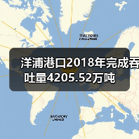 洋浦港口2018年完成吞吐量4205.52万吨（图2）