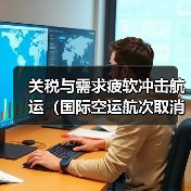 关税与需求疲软冲击航运（国际空运航次取消规模超疫情）（图4）