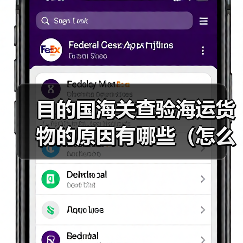 目的国海关查验海运货物的原因有哪些（怎么配合处理）