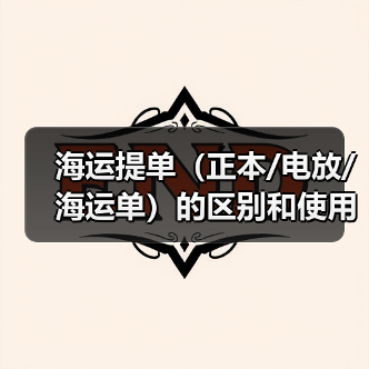 海运提单（正本/电放/海运单）的区别和使用场景（国际海运干货知识分享）（图4）