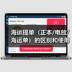 海运提单（正本/电放/海运单）的区别和使用场景（国际海运干货知识分享）（图3）