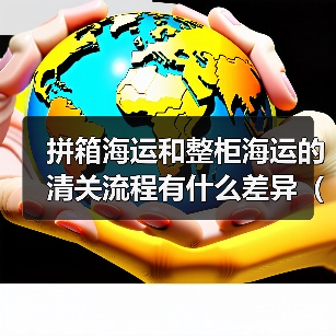 拼箱海运和整柜海运的清关流程有什么差异（国际海运干货知识分享）（图2）