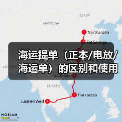 海运提单（正本/电放/海运单）的区别和使用场景（国际海运干货知识分享）