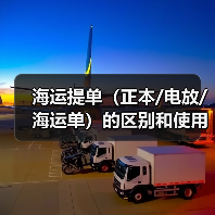 海运提单（正本/电放/海运单）的区别和使用场景（国际海运干货知识分享）（图2）