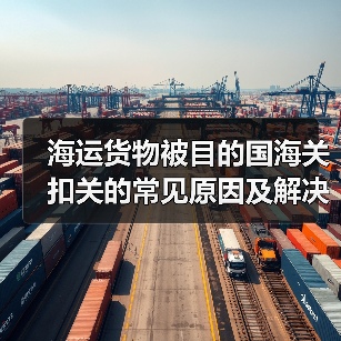 海运货物被目的国海关扣关的常见原因及解决办法（国际海运干货知识分享）（图2）