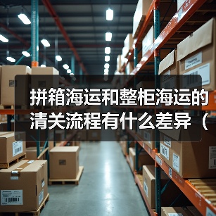 拼箱海运和整柜海运的清关流程有什么差异（国际海运干货知识分享）（图3）