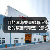 目的国海关查验海运货物的原因有哪些（怎么配合处理）（图4）