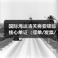 国际海运清关需要哪些核心单证（提单/发票/箱单/产地证等）（图2）