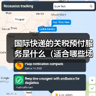 国际快递的关税预付服务是什么（适合哪些场景）（图4）