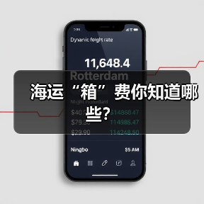 海运“箱”费你知道哪些?(图3) 海运“箱”费你知道哪些?(图3)