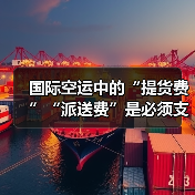 国际空运中的“提货费”“派送费”是必须支付的吗（国际空运干货知识分享）（图4）