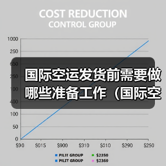 国际空运发货前需要做哪些准备工作（国际空运干货知识分享）（图2）