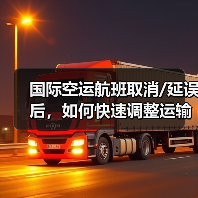 国际空运航班取消/延误后，如何快速调整运输方案减少损失？（国际空运干货知识分享）（图3）