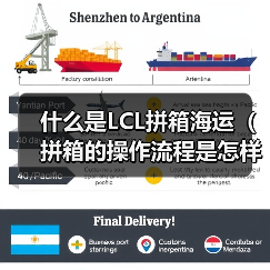 什么是LCL拼箱海运（拼箱的操作流程是怎样的）（图3）
