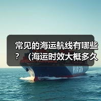 常见的海运航线有哪些?(海运时效大概多久)(图2) 常见的海运航线有哪些?(海运时效大概多久)(图2)