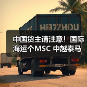 中国货主请注意!国际海运个MSC 中越泰马航线新增直靠(这些港口出货更高效)(图3) 中国货主请注意!国际海运个MSC 中越泰马航线新增直靠(这些港口出货更高效)(图3)