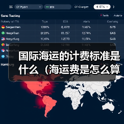 国际海运的计费标准是什么（海运费是怎么算出来的）（图3）