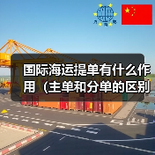 国际海运提单有什么作用（主单和分单的区别是什么）（图4）