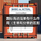 国际海运提单有什么作用（主单和分单的区别是什么）