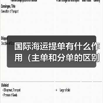 国际海运提单有什么作用（主单和分单的区别是什么）（图2）
