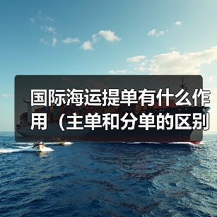 国际海运提单有什么作用（主单和分单的区别是什么）（图3）