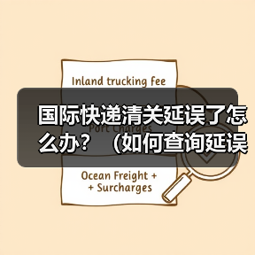 国际快递清关延误了怎么办？（如何查询延误原因）
