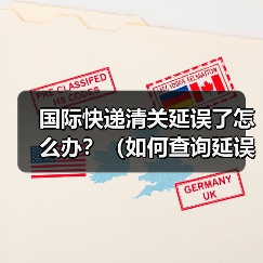 国际快递清关延误了怎么办？（如何查询延误原因）（图4）