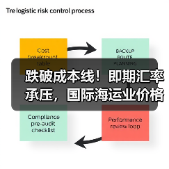 跌破成本线!即期汇率承压,国际海运业价格战阴云笼罩(国际海运新闻资讯)(图4) 跌破成本线!即期汇率承压,国际海运业价格战阴云笼罩(国际海运新闻资讯)(图4)