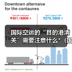 国际空运的“目的港清关”需要注意什么*（国际空运干货知识分享）（图3）
