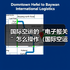 国际空运的“电子报关”怎么操作（国际空运干货知识分享）（图2）