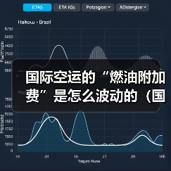国际空运的“燃油附加费”是怎么波动的（国际空运干货知识分享）（图3）