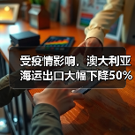 受疫情影响,澳大利亚海运出口大幅下降50%(图2) 受疫情影响,澳大利亚海运出口大幅下降50%(图2)
